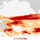 Illustration for article titled These Are All The Areas Likely To Be Hit By The Coral Bleaching Outbreak